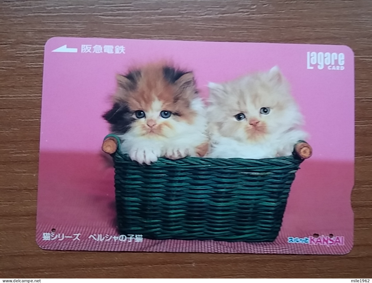 T-402 - JAPAN, Japon, Nipon, Carte Prepayee, Prepaid Card, CAT, CHAT,  - Chats