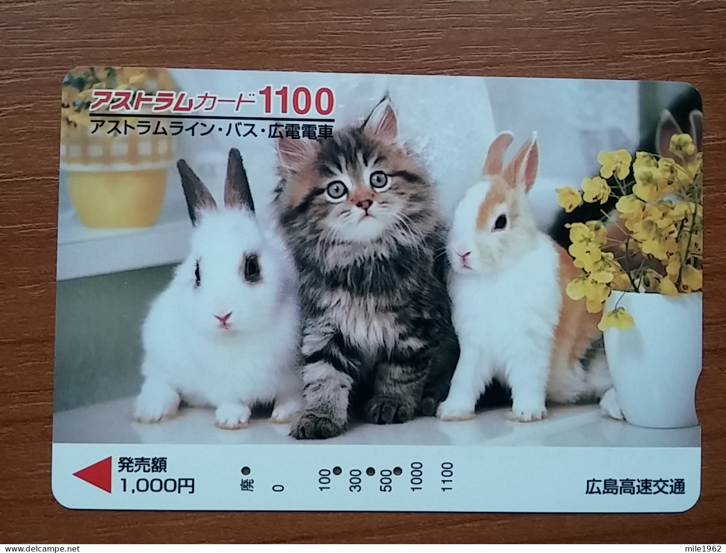 T-402 - JAPAN, Japon, Nipon, Carte Prepayee, Prepaid Card, CAT, CHAT,  - Chats