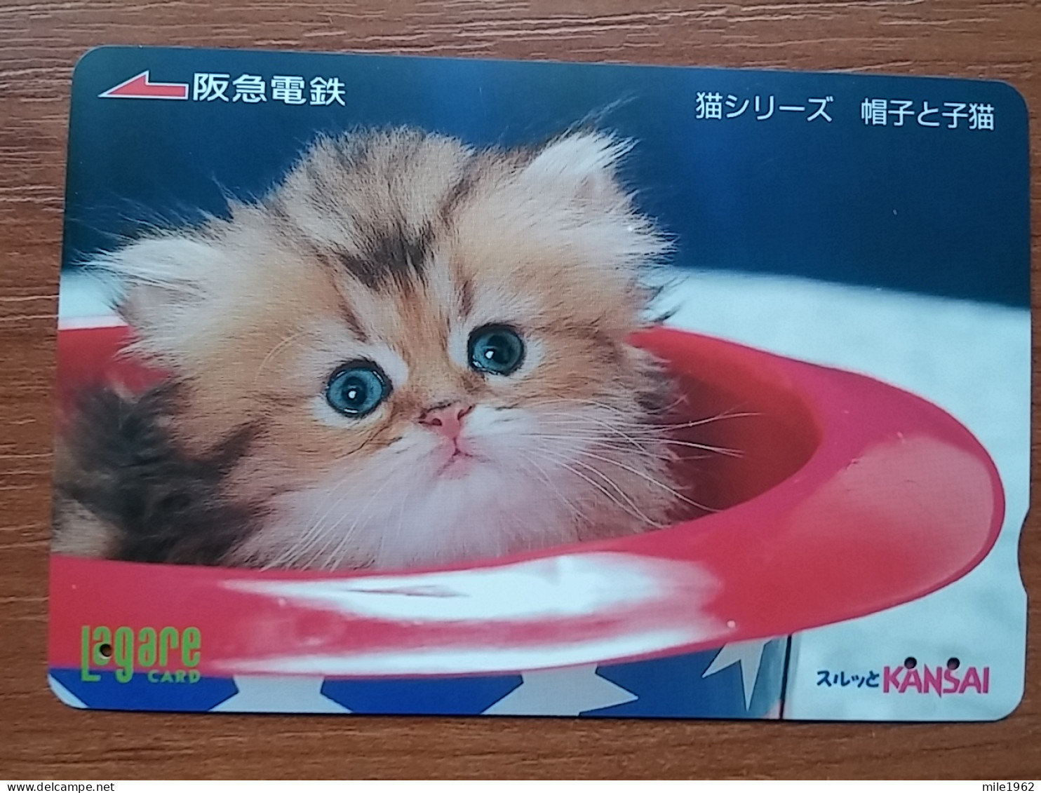 T-402 - JAPAN, Japon, Nipon, Carte Prepayee, Prepaid Card, CAT, CHAT,  - Katzen