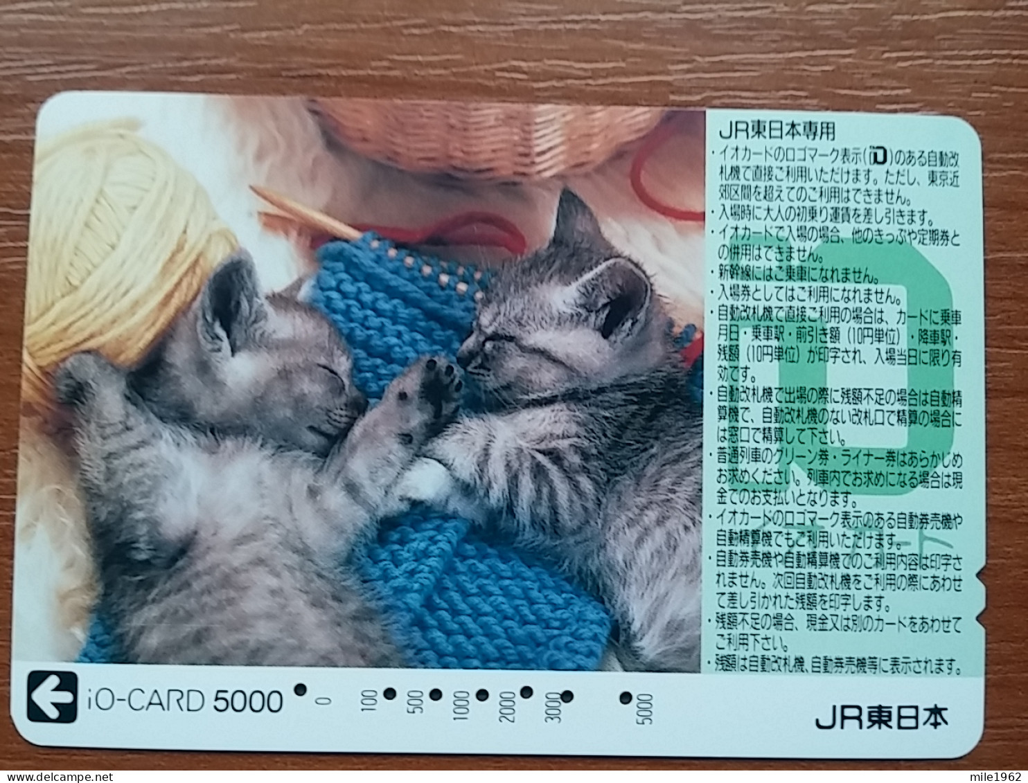 T-402 - JAPAN, Japon, Nipon, Carte Prepayee, Prepaid Card, CAT, CHAT,  - Gatos