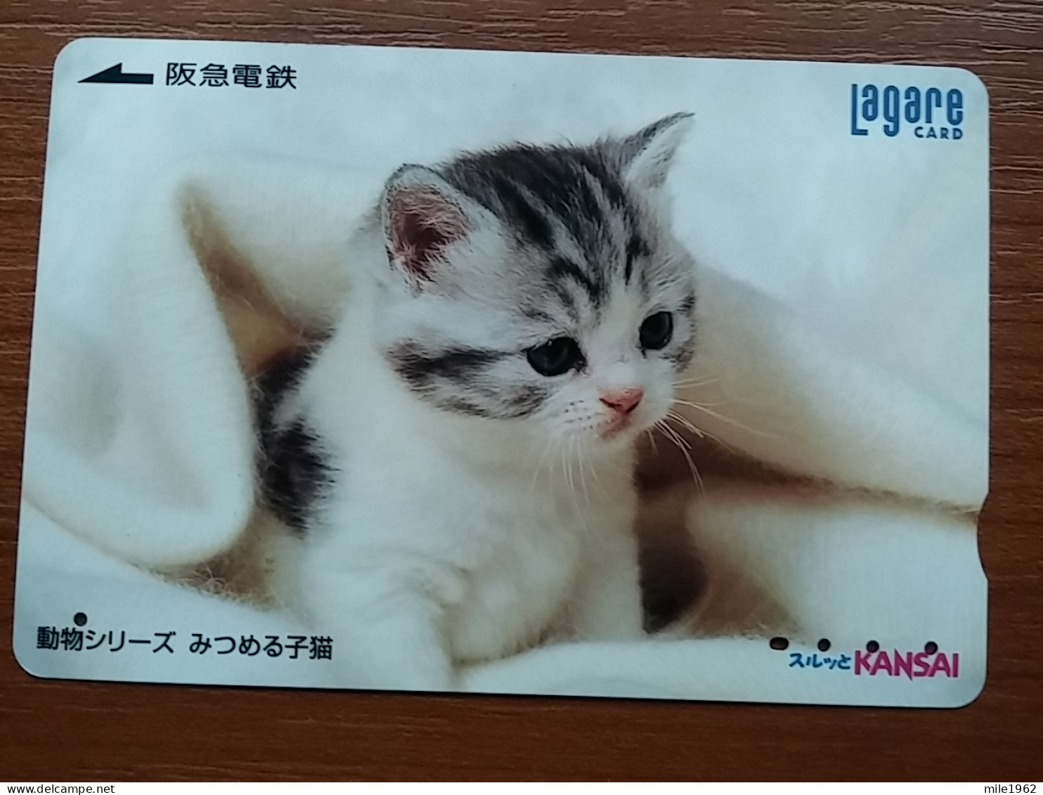 T-402 - JAPAN, Japon, Nipon, Carte Prepayee, Prepaid Card, CAT, CHAT,  - Katzen