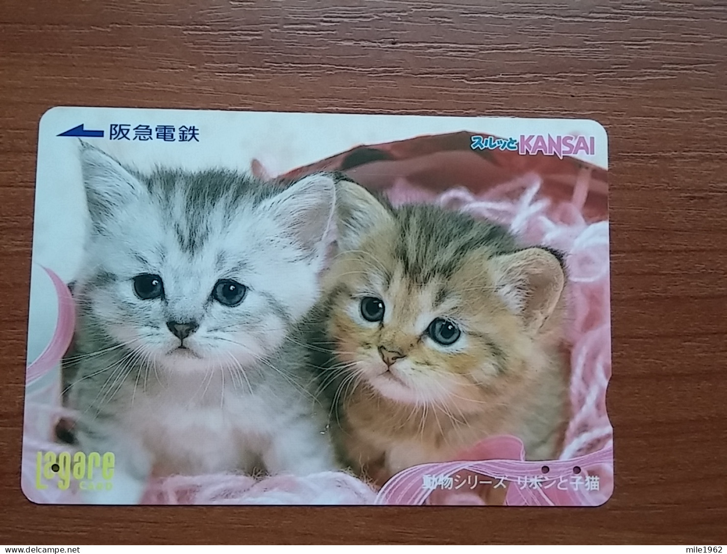 T-402 - JAPAN, Japon, Nipon, Carte Prepayee, Prepaid Card, CAT, CHAT,  - Gatti