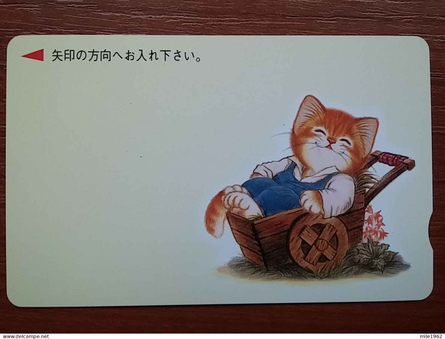 T-402 - JAPAN, Japon, Nipon, Carte Prepayee, Prepaid Card, CAT, CHAT,  - Gatti