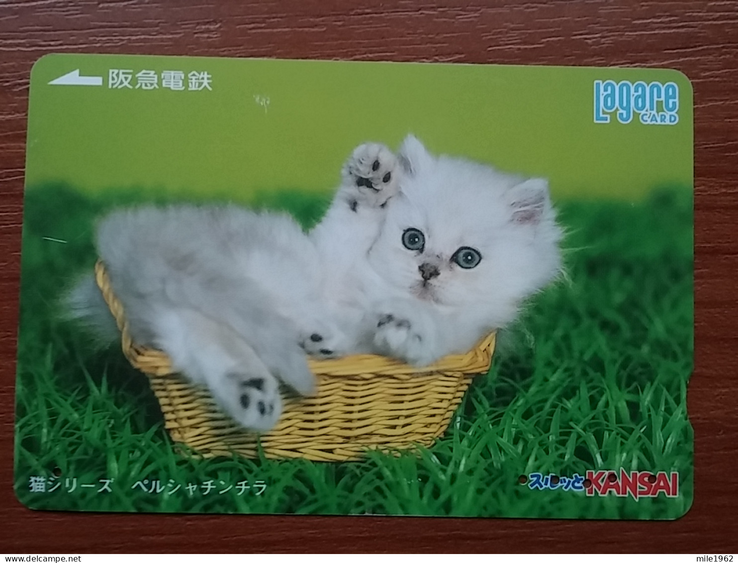 T-402 - JAPAN, Japon, Nipon, Carte Prepayee, Prepaid Card, CAT, CHAT,  - Katten