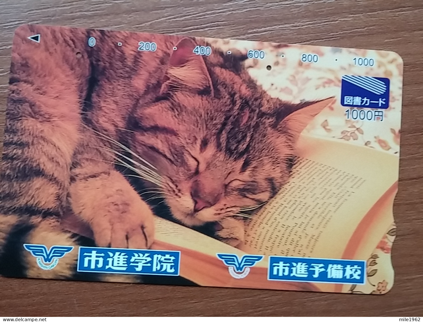 T-402 - JAPAN, Japon, Nipon, Carte Prepayee, Prepaid Card, CAT, CHAT,  - Cats