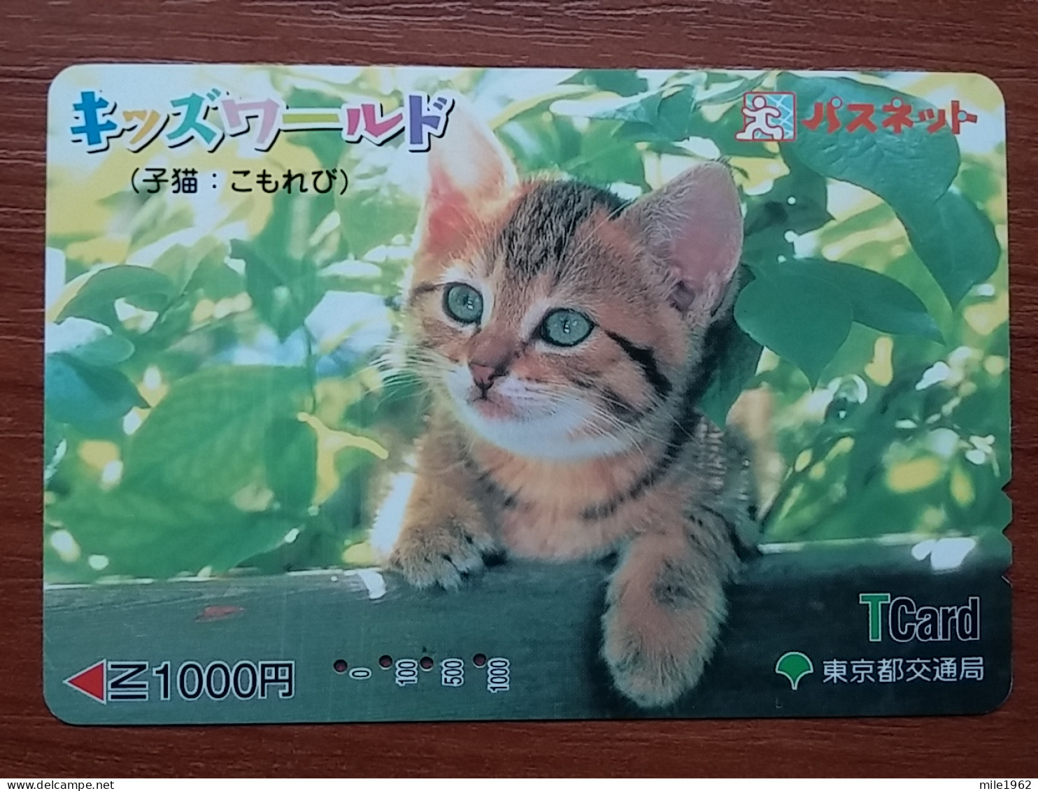 T-402 - JAPAN, Japon, Nipon, Carte Prepayee, Prepaid Card, CAT, CHAT,  - Katten