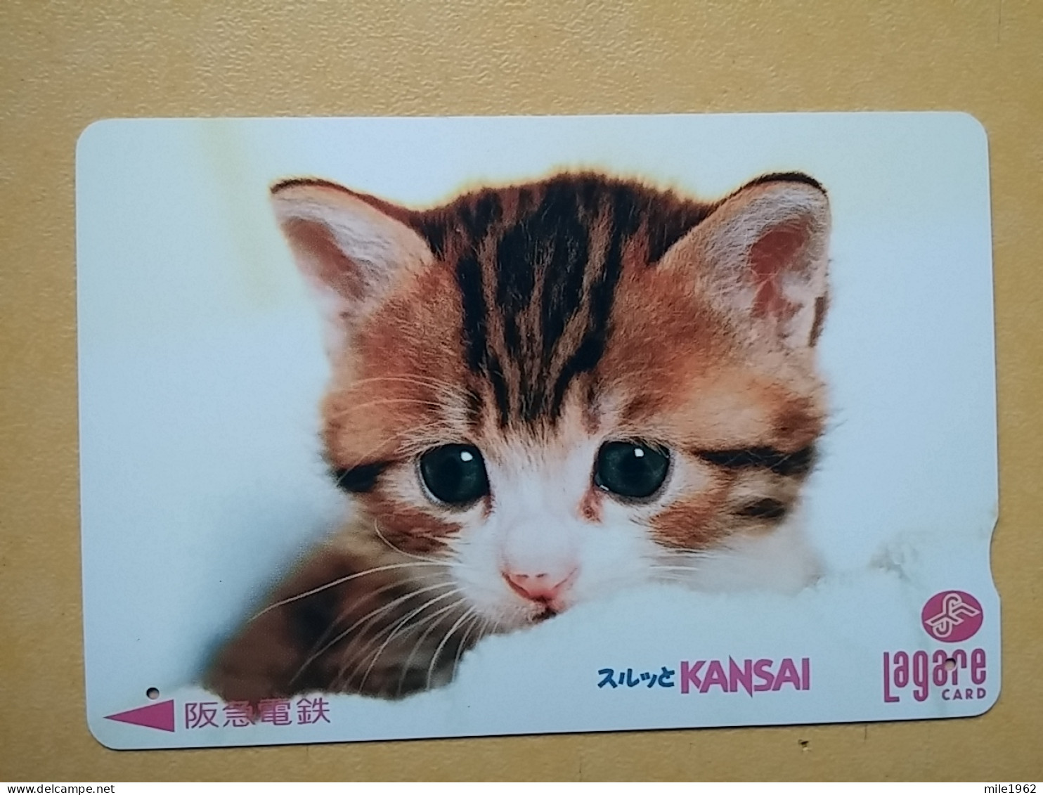 T-402 - JAPAN, Japon, Nipon, Carte Prepayee, Prepaid Card, CAT, CHAT,  - Gatos