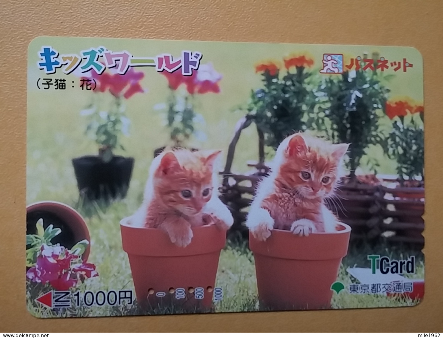 T-402 - JAPAN, Japon, Nipon, Carte Prepayee, Prepaid Card, CAT, CHAT,  - Gatos