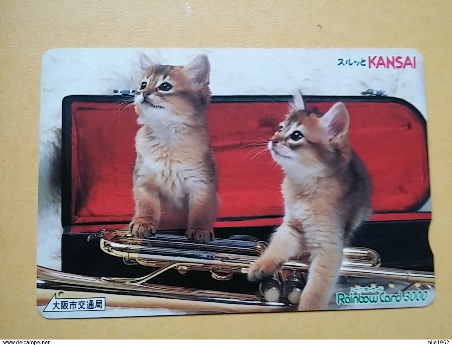 T-402 - JAPAN, Japon, Nipon, Carte Prepayee, Prepaid Card, CAT, CHAT,  - Katzen