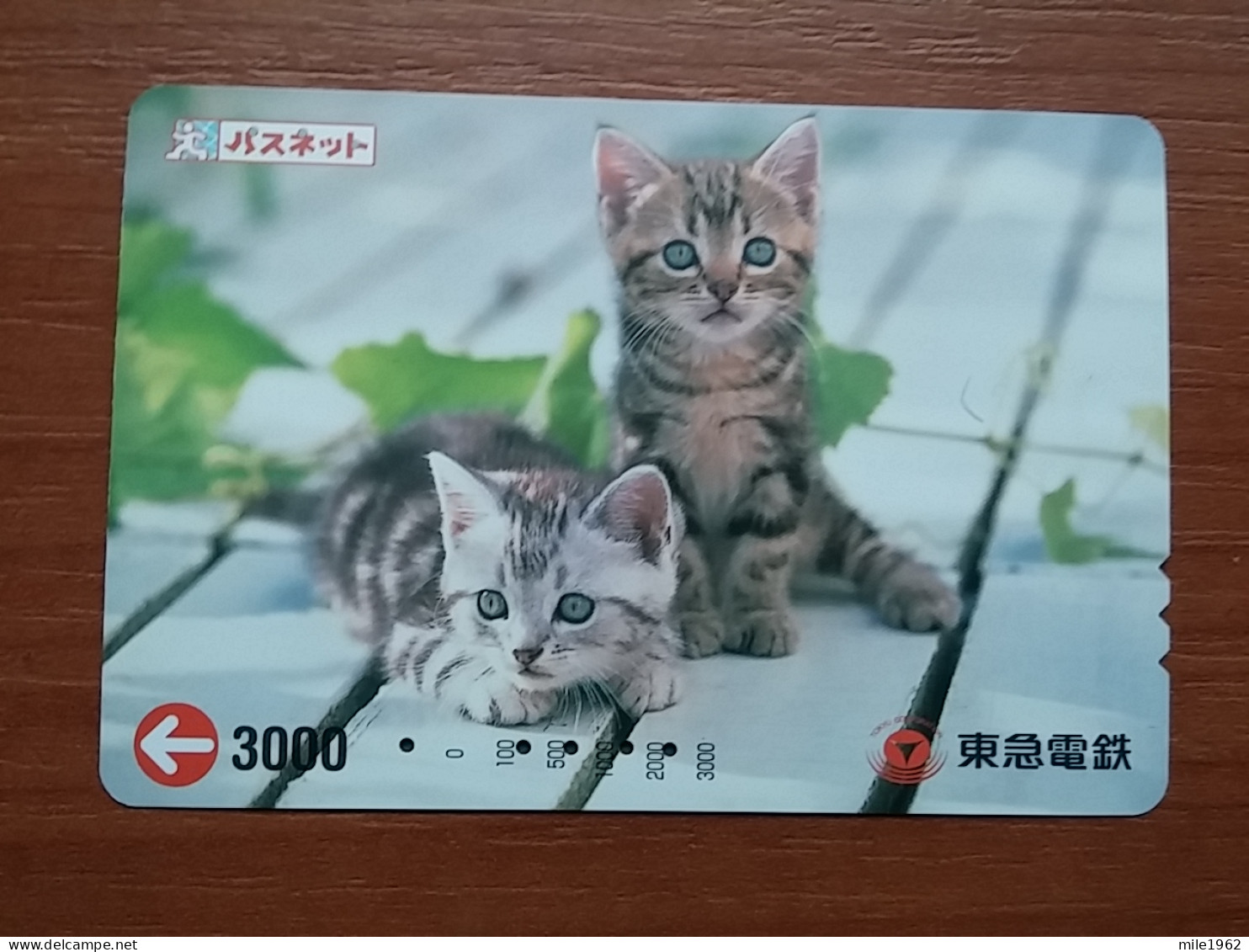 T-402 - JAPAN, Japon, Nipon, Carte Prepayee, Prepaid Card, CAT, CHAT,  - Gatti