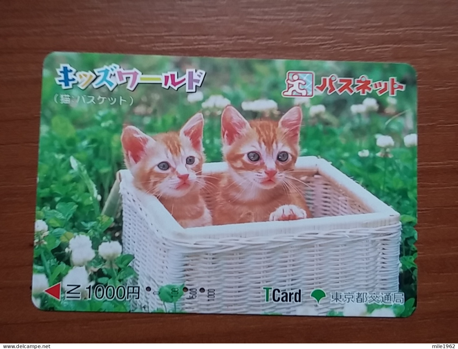 T-402 - JAPAN, Japon, Nipon, Carte Prepayee, Prepaid Card, CAT, CHAT,  - Katten