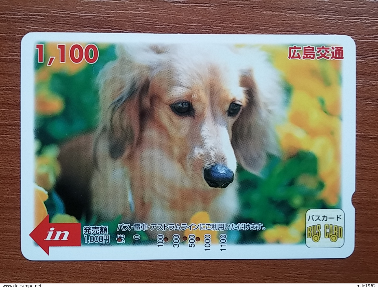 T-403 - JAPAN, Japon, Nipon, Carte Prepayee, Prepaid Card, Animal, Dog, Chien - Altri & Non Classificati