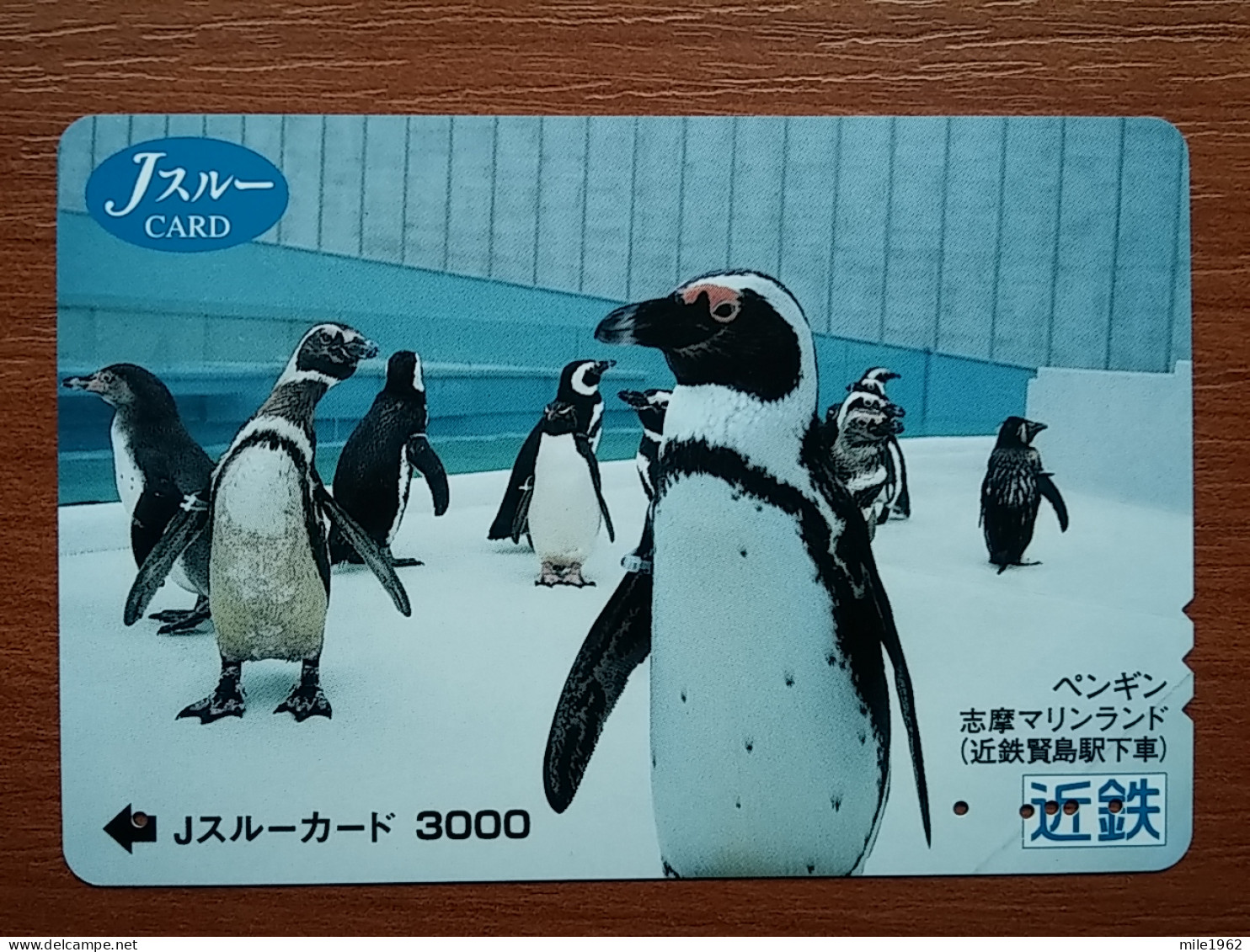 T-403 - JAPAN, Japon, Nipon, Carte Prepayee, Prepaid Card, Animal, Penguin - Altri & Non Classificati
