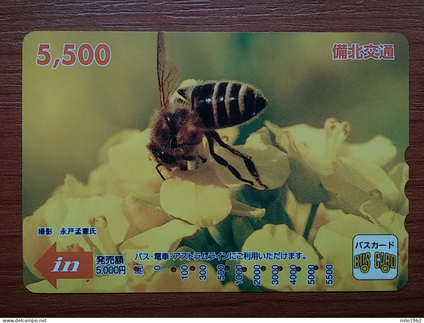 T-404 - JAPAN, Japon, Nipon, Carte Prepayee, Prepaid Card, Animal, Bear, Ours - Altri & Non Classificati