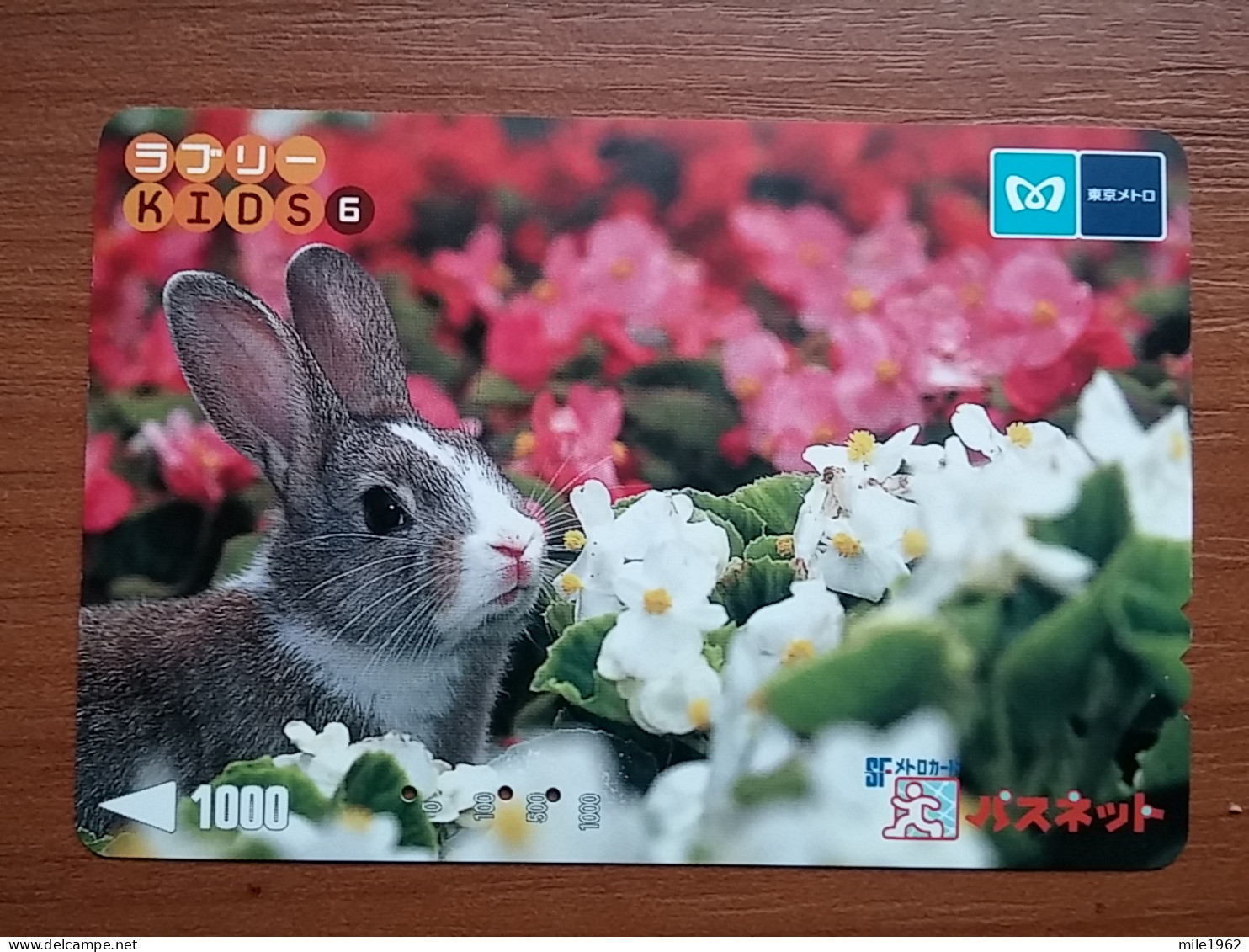 T-404 - JAPAN, Japon, Nipon, Carte Prepayee, Prepaid Card, Animal, Rabbit, Lapin - Altri & Non Classificati