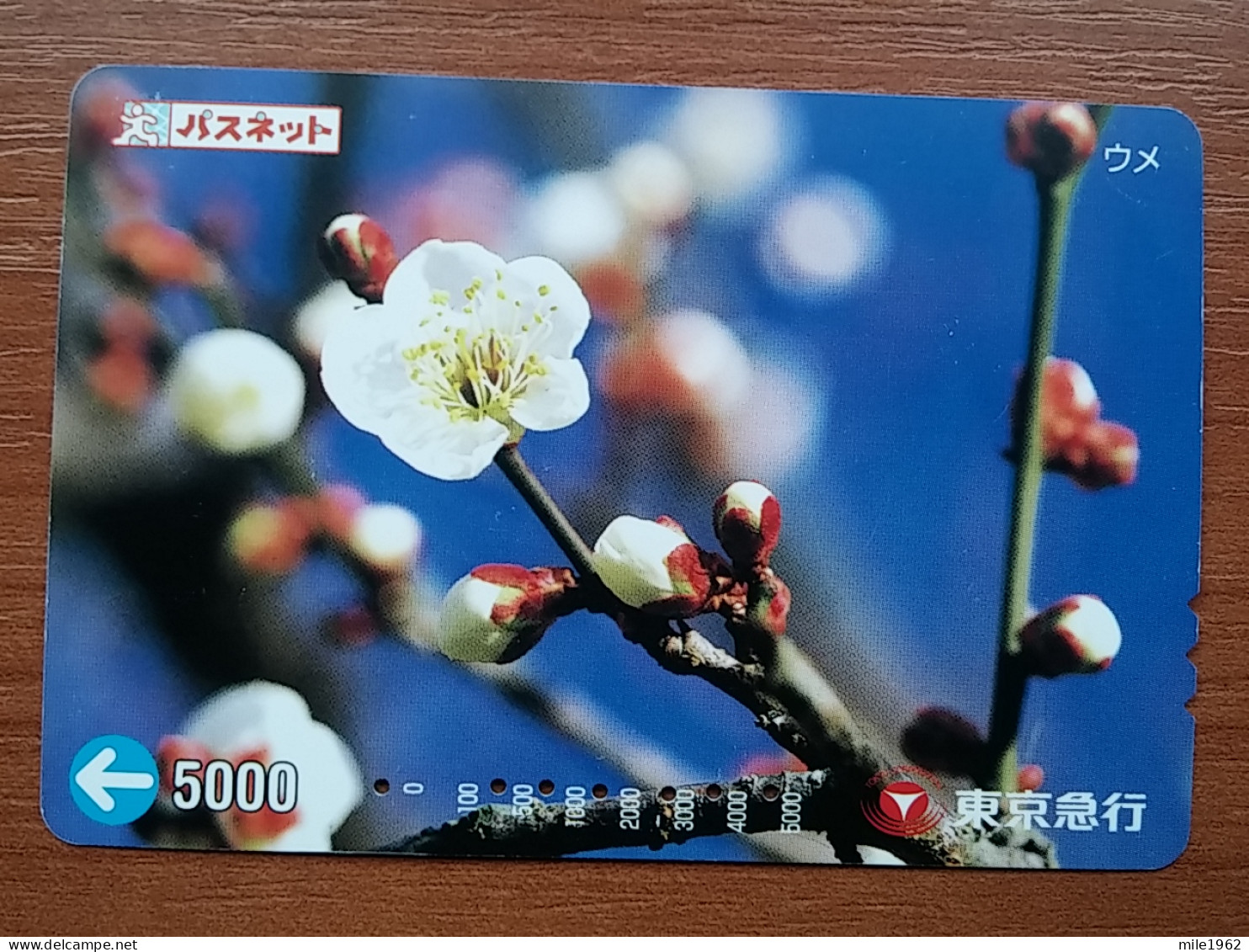 T-409 - JAPAN, Japon, Nipon, Carte Prepayee, Prepaid Card, Flower, Fleur - Flowers