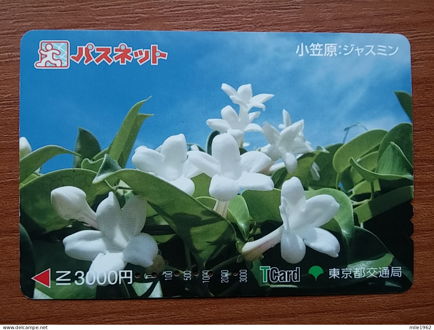 T-409 - JAPAN, Japon, Nipon, Carte Prepayee, Prepaid Card, Flower, Fleur - Fiori