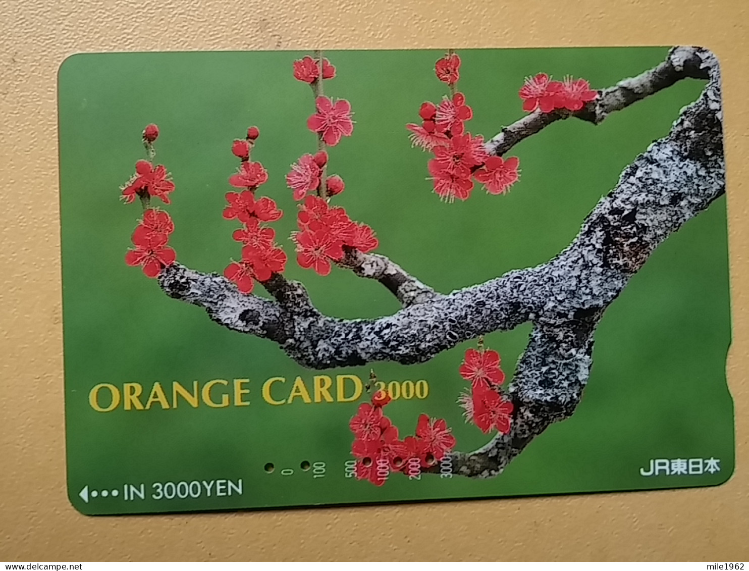 T-409 - JAPAN, Japon, Nipon, Carte Prepayee, Prepaid Card, Flower, Fleur - Fleurs