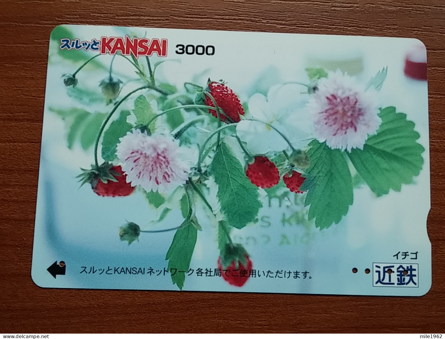 T-409 - JAPAN, Japon, Nipon, Carte Prepayee, Prepaid Card, Flower, Fleur - Blumen