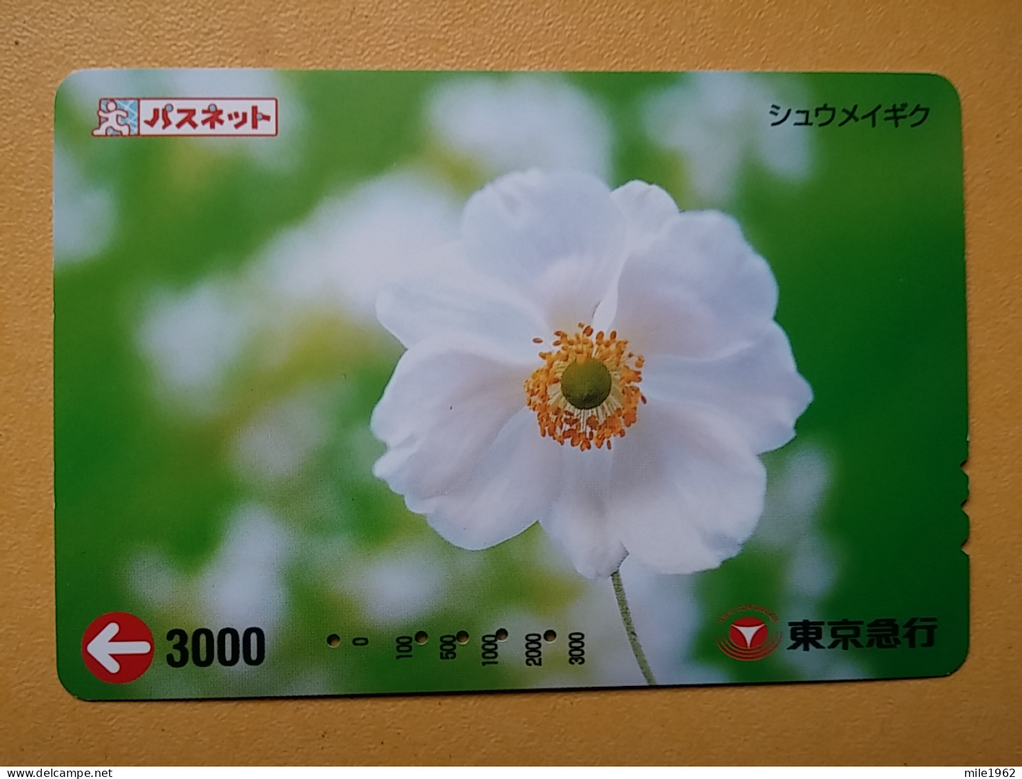 T-409 - JAPAN, Japon, Nipon, Carte Prepayee, Prepaid Card, Flower, Fleur - Flores