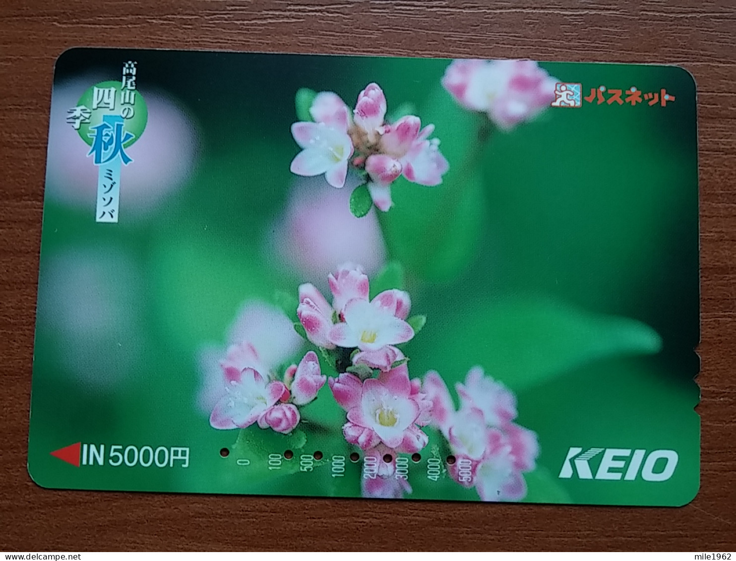 T-409 - JAPAN, Japon, Nipon, Carte Prepayee, Prepaid Card, Flower, Fleur - Fleurs