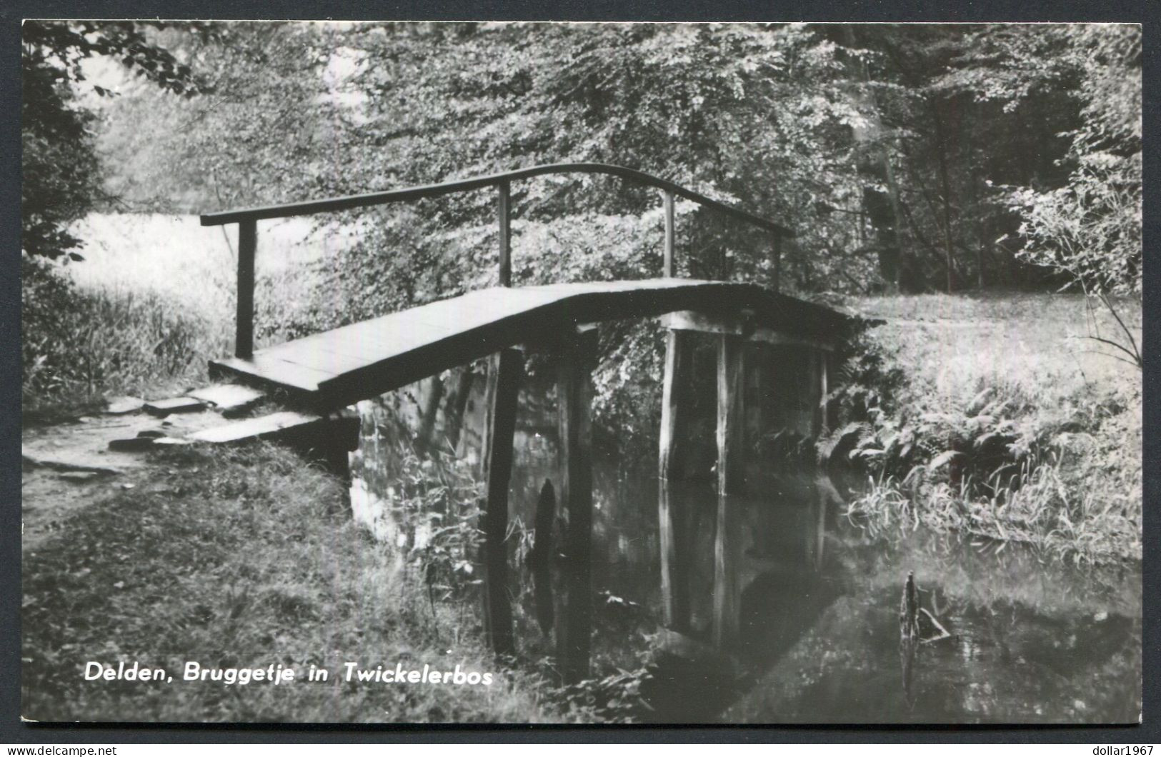 Delden Bij Hengelo (o) , Bruggetje In Twickelerbos . - Not  Used - 2 Scans For Originalscan !! - Hengelo (Ov)