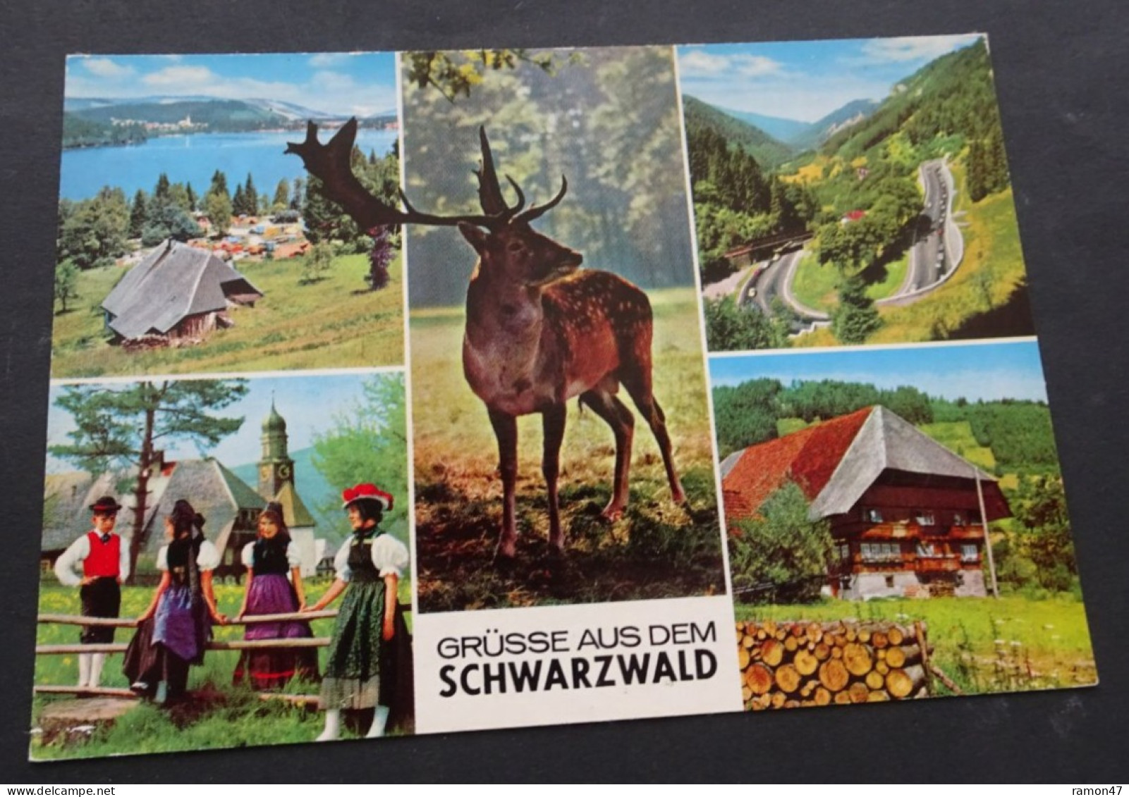 Grüsse Aus Dem Schwarzwald - Josef Hierzegger-Verlag, Hausach/Schwarzwald - Krüger - # 31.036.26 - Saluti Da.../ Gruss Aus...