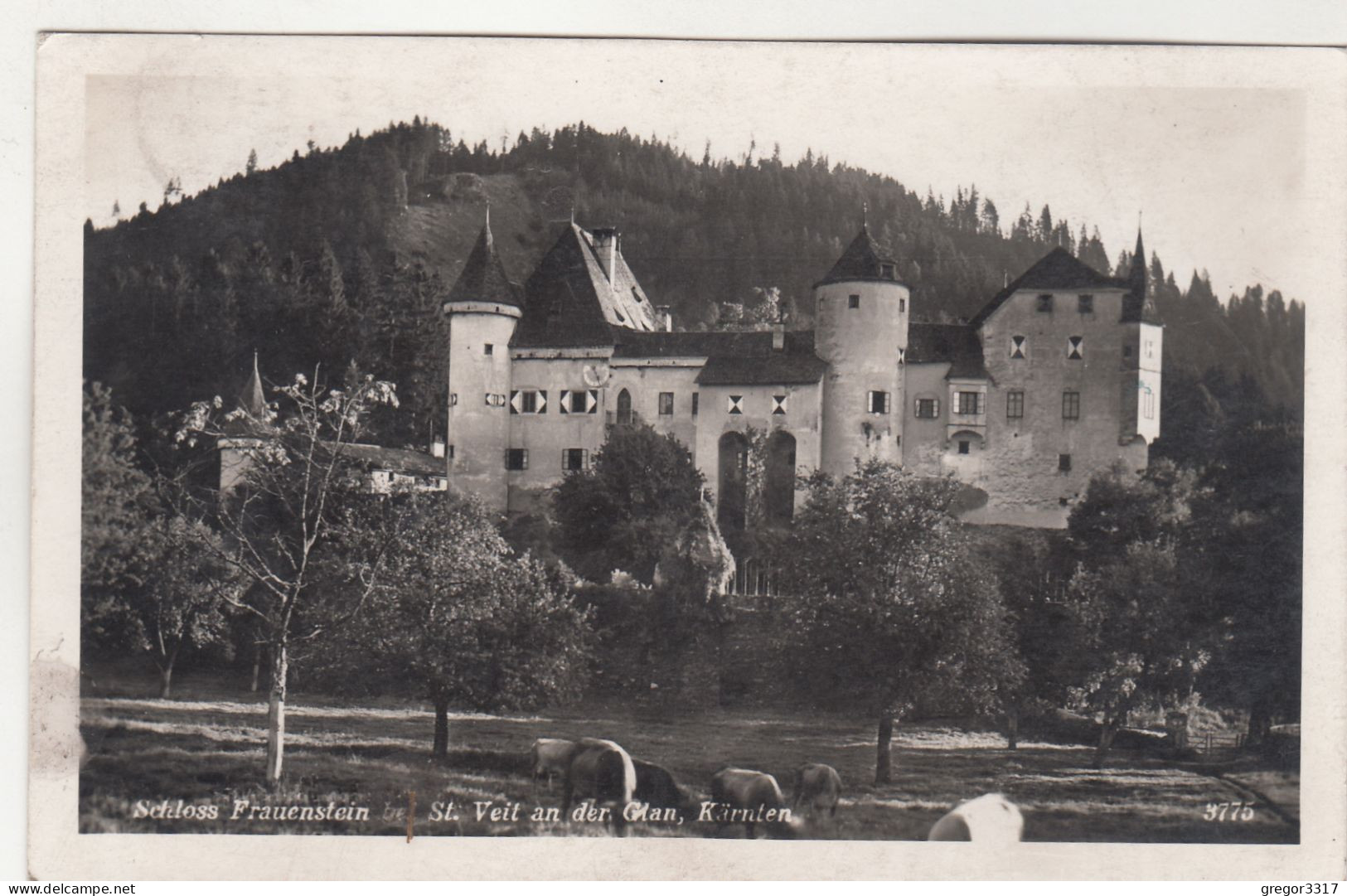 E1288) Schloss FRAUENSTEIN Bei ST. VEIT An Der GLAN - Kärnten - Kühe Im Vordergrund 1940 - St. Veit An Der Glan