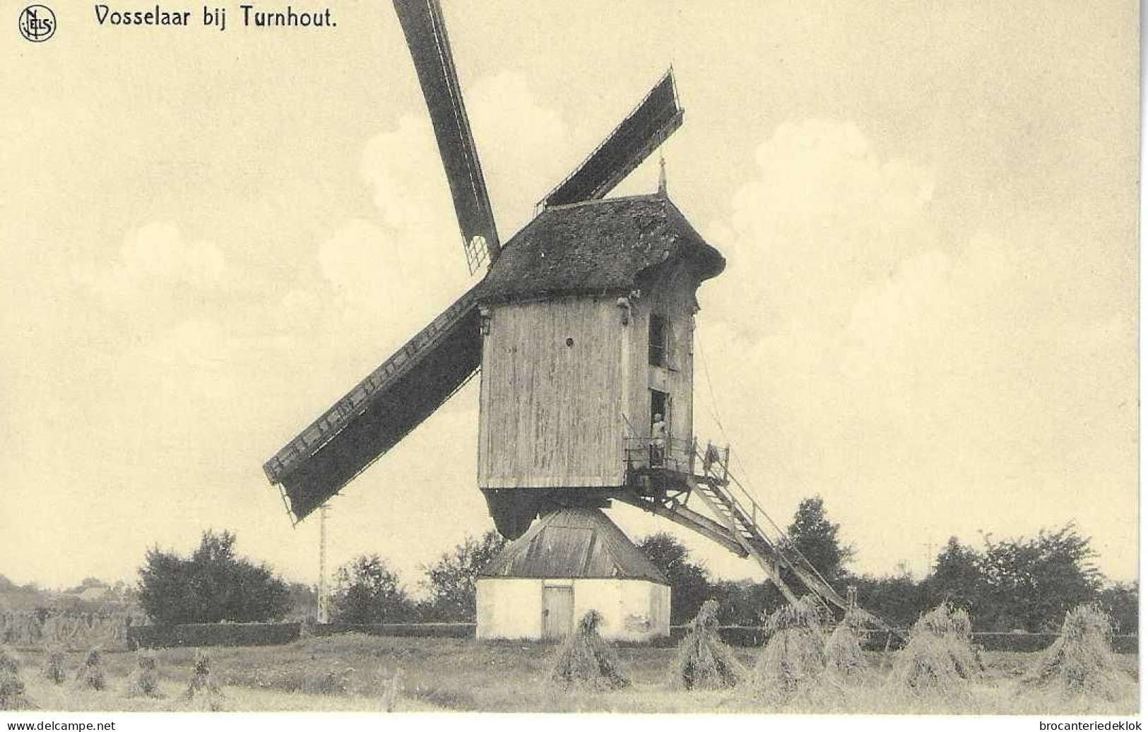 VOSSELAAR Molen - Vosselaar