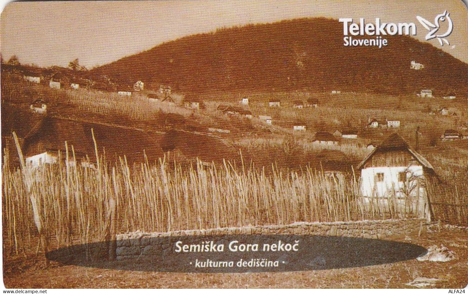 PHONE CARD SLOVENIA (E33.49.8 - Slovénie