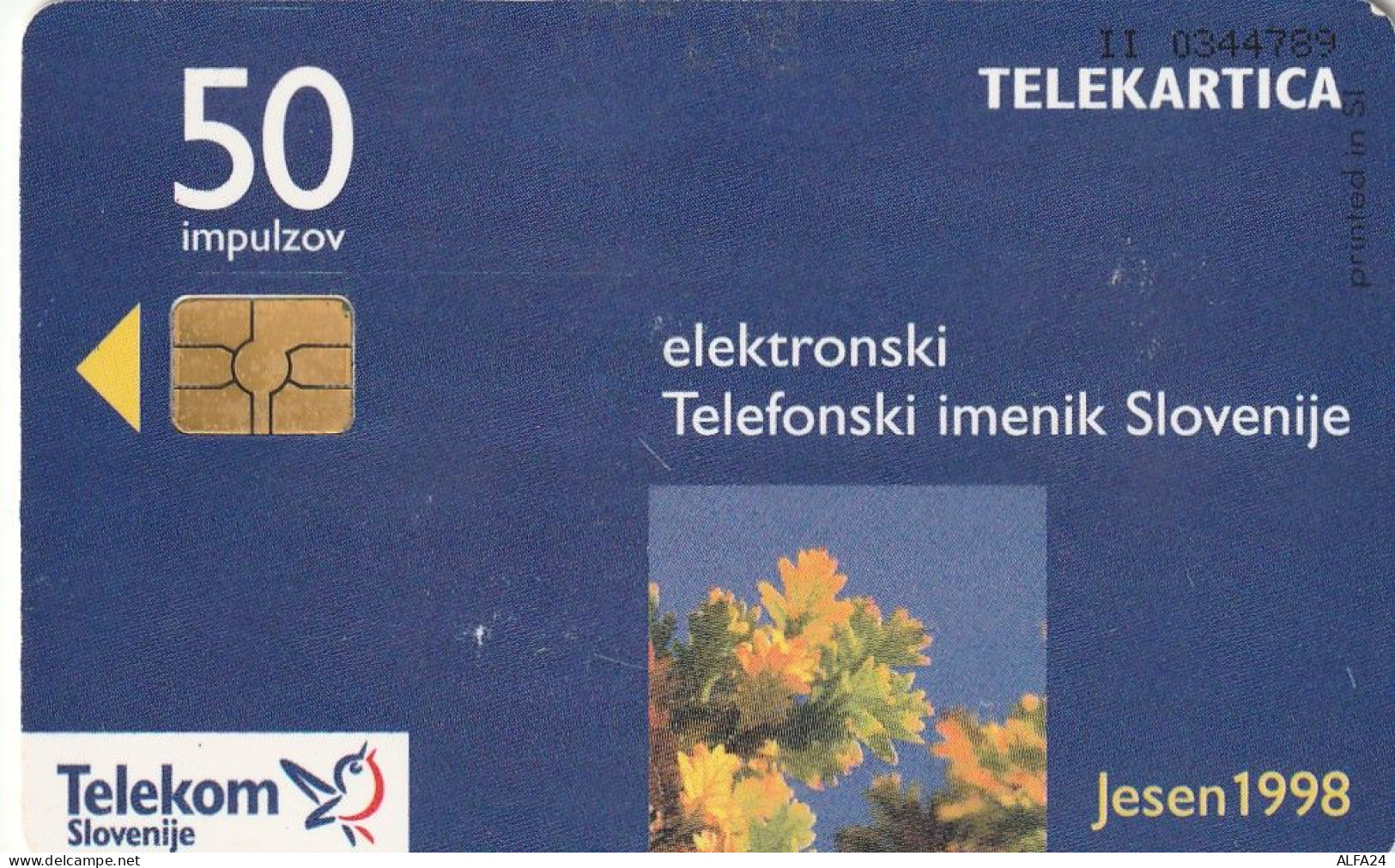 PHONE CARD SLOVENIA (E33.39.5 - Slowenien