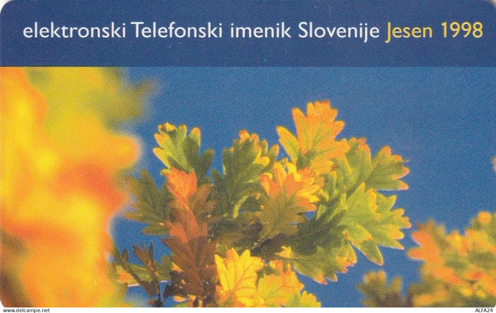 PHONE CARD SLOVENIA (E33.36.7 - Slowenien