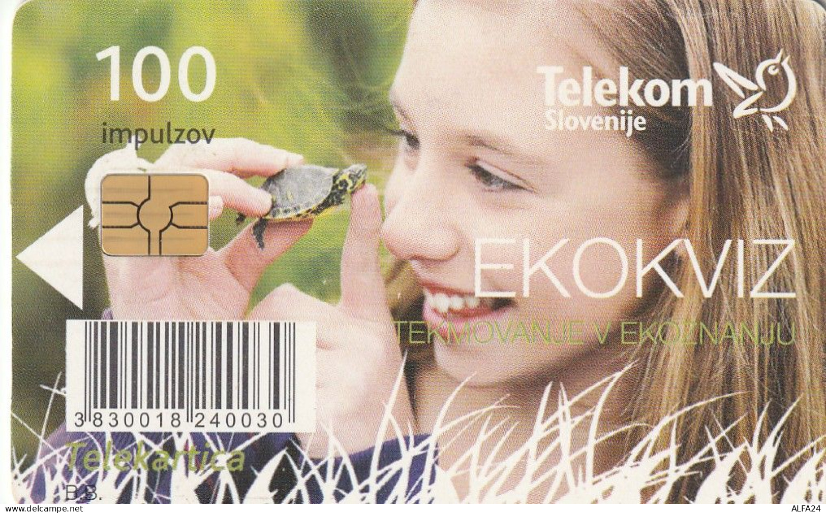 PHONE CARD SLOVENIA (E33.30.5 - Slowenien