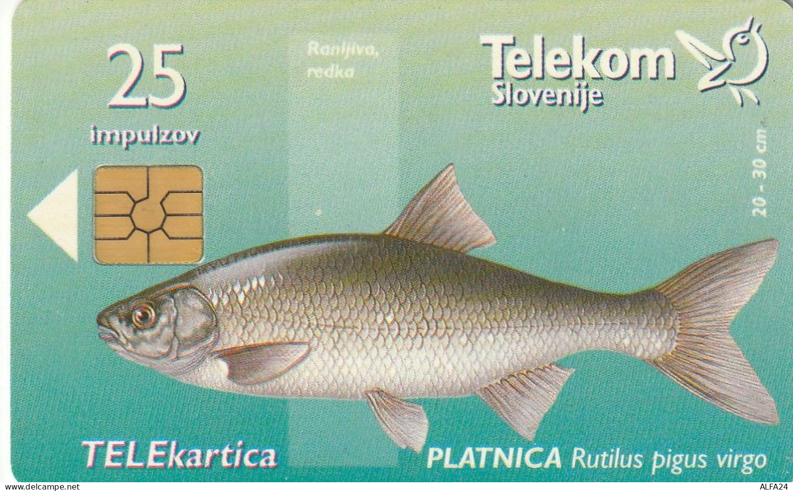 PHONE CARD SLOVENIA (E33.23.8 - Slovénie