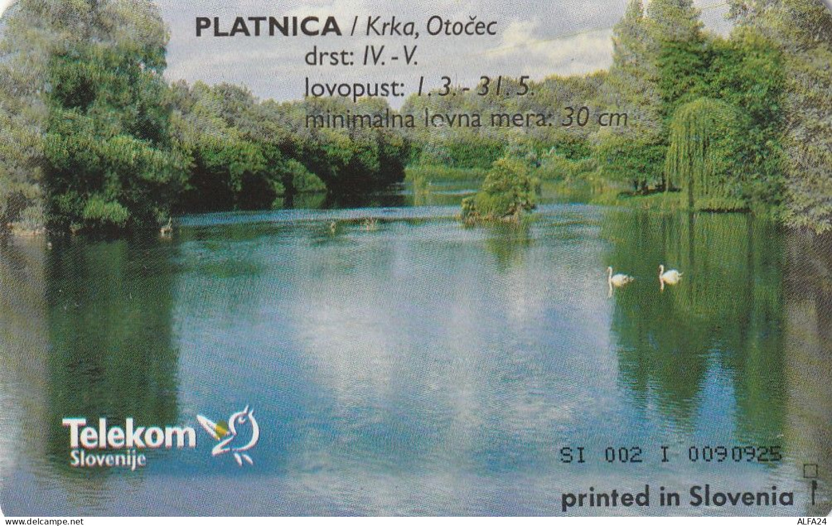 PHONE CARD SLOVENIA (E33.23.8 - Slovénie