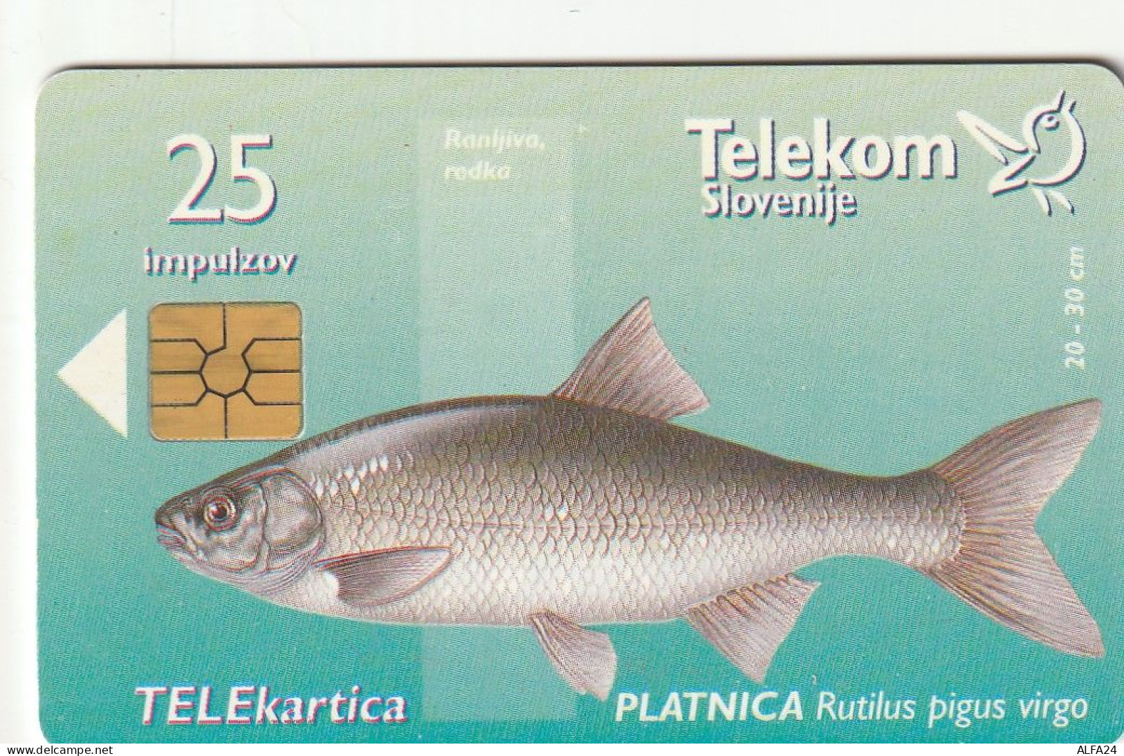 PHONE CARD SLOVENIA (E33.23.7 - Slovénie