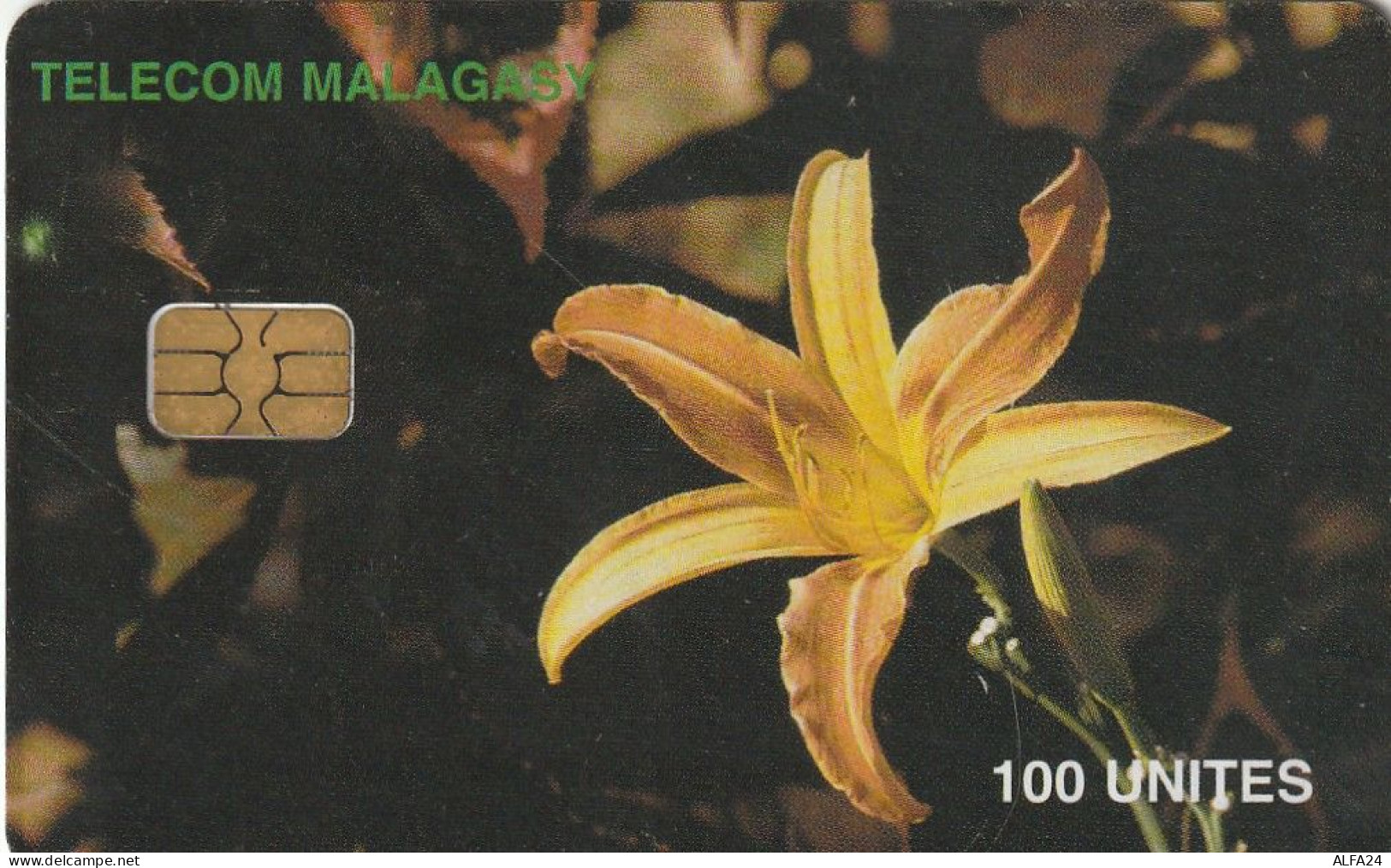 PHONE CARD MADAGASCAR (E27.10.1 - Madagaskar