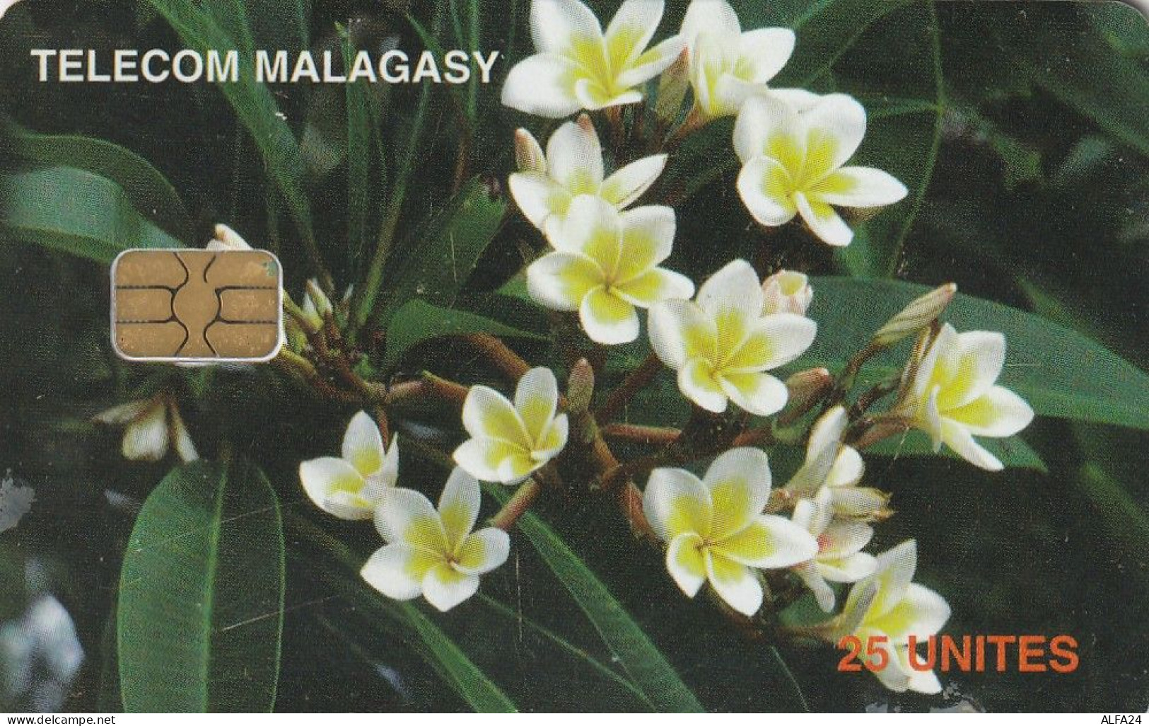 PHONE CARD MADAGASCAR (E27.11.7 - Madagascar