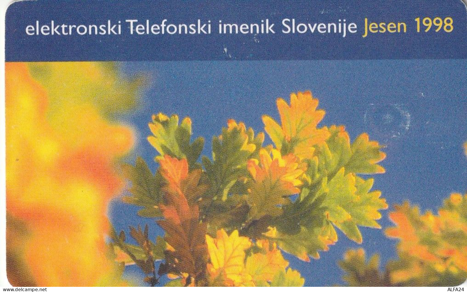 PHONE CARD SLOVENIA (E27.6.8 - Slovenië