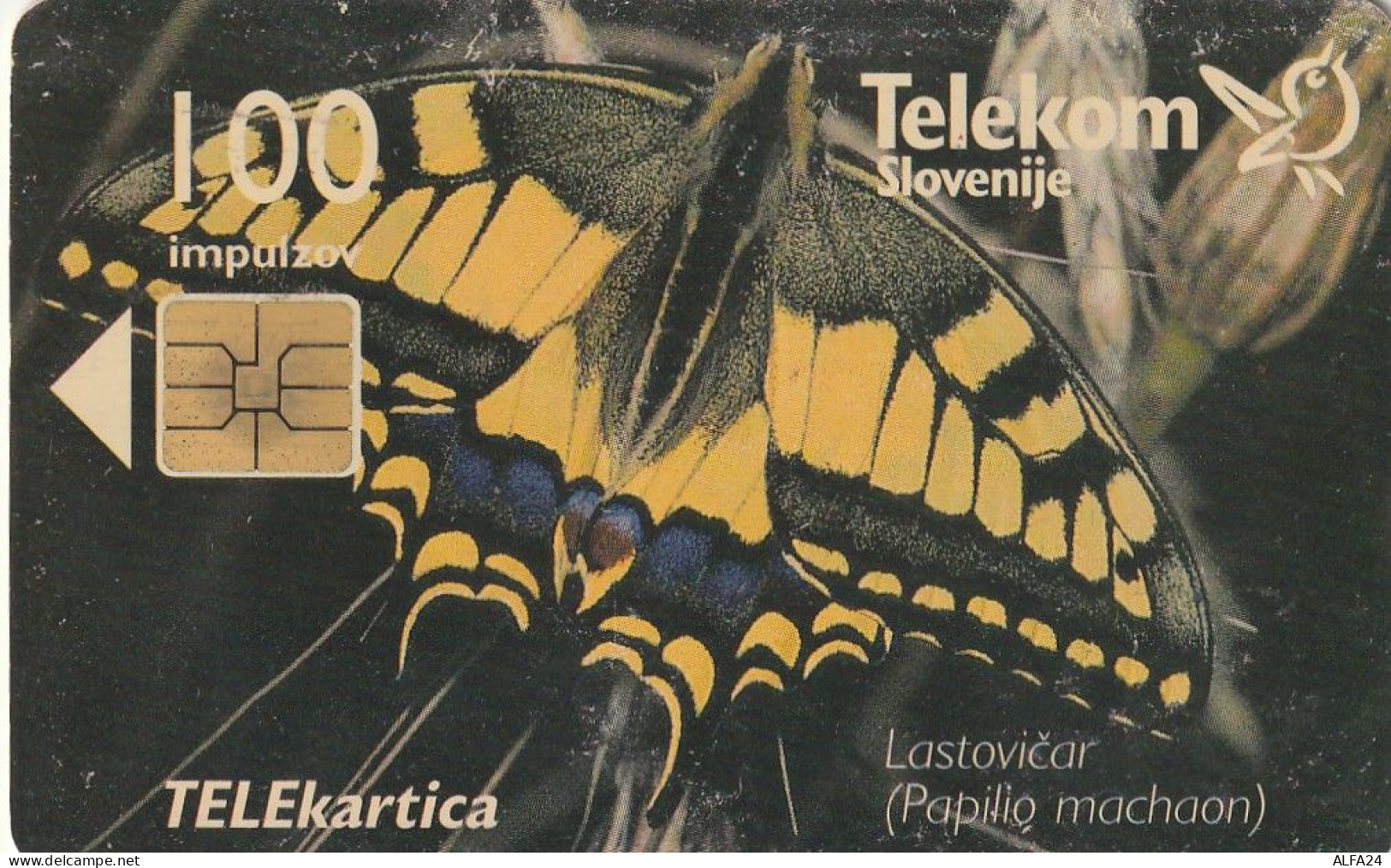 PHONE CARD SLOVENIA (E27.1.7 - Slovénie