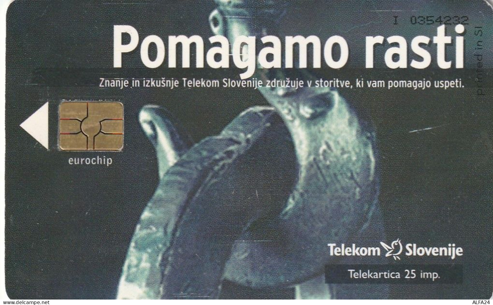 PHONE CARD SLOVENIA (E24.29.8 - Slowenien