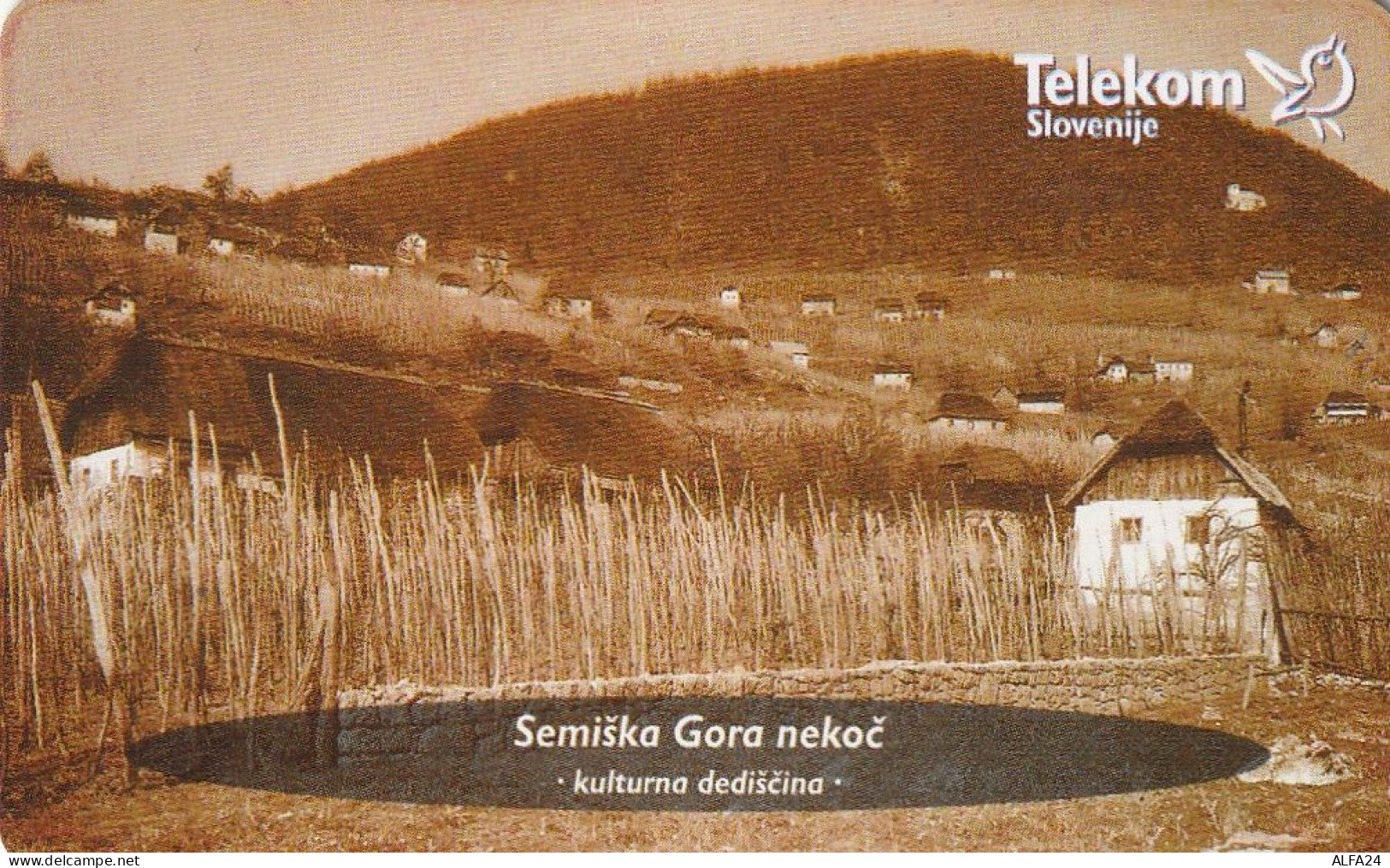 PHONE CARD SLOVENIA (E24.30.4 - Slovenië