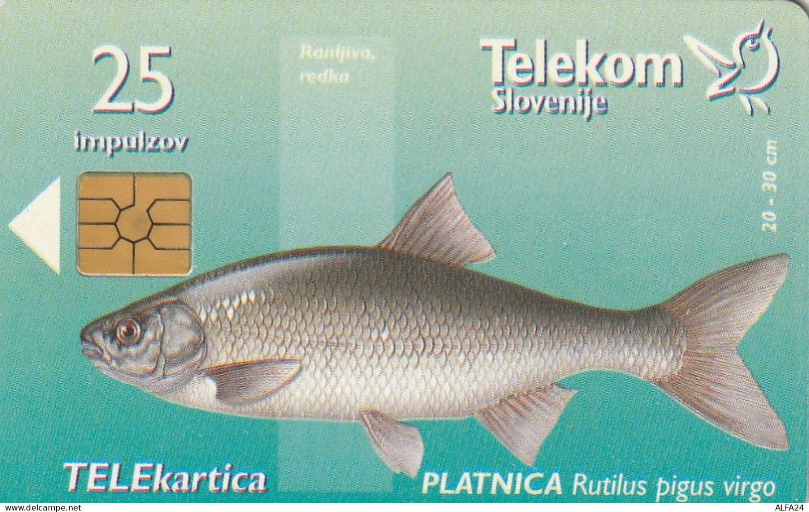 PHONE CARD SLOVENIA (E24.12.5 - Slowenien