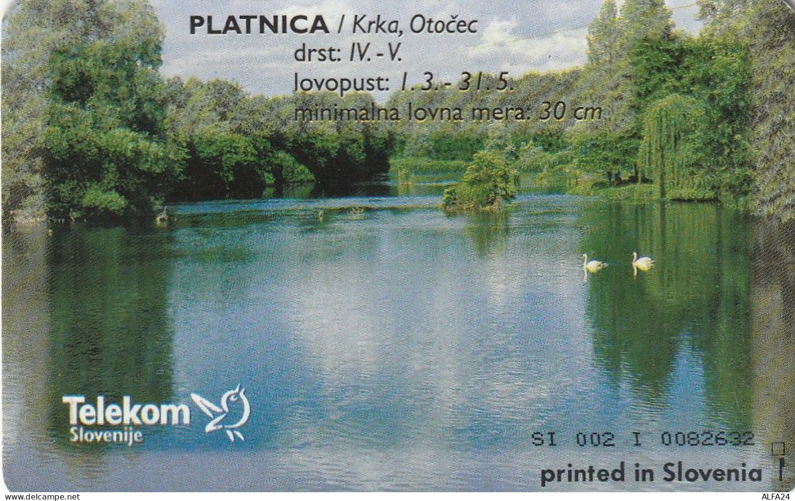 PHONE CARD SLOVENIA (E24.12.5 - Slowenien