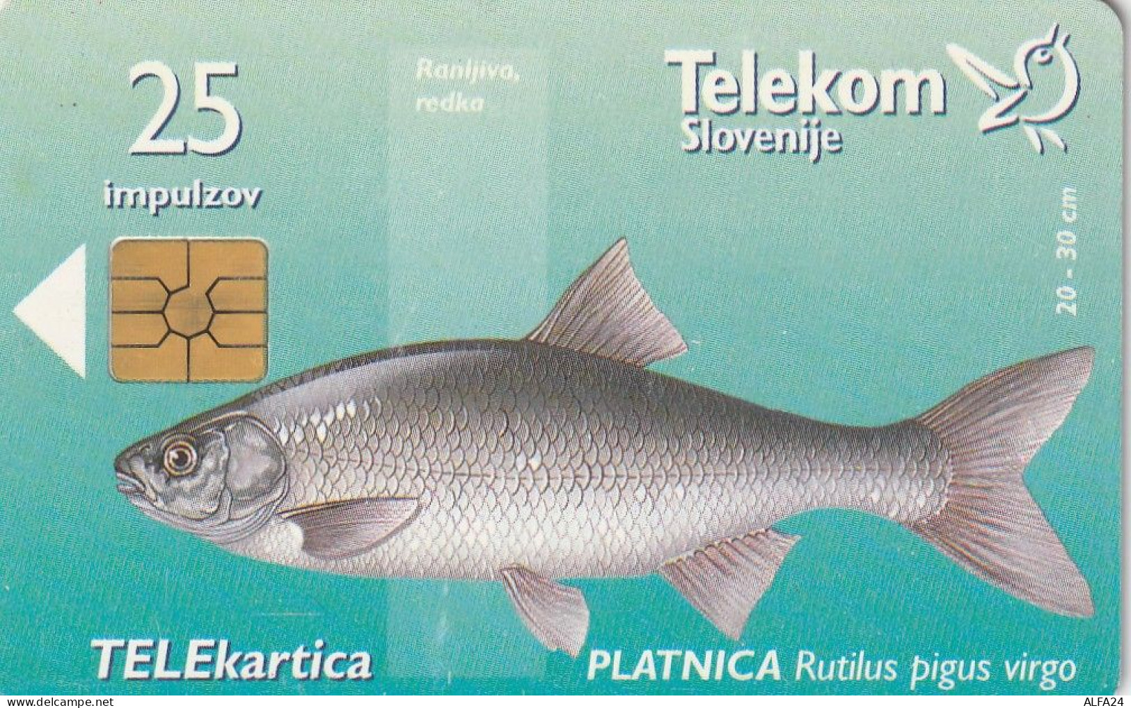 PHONE CARD SLOVENIA (E24.14.1 - Slovénie