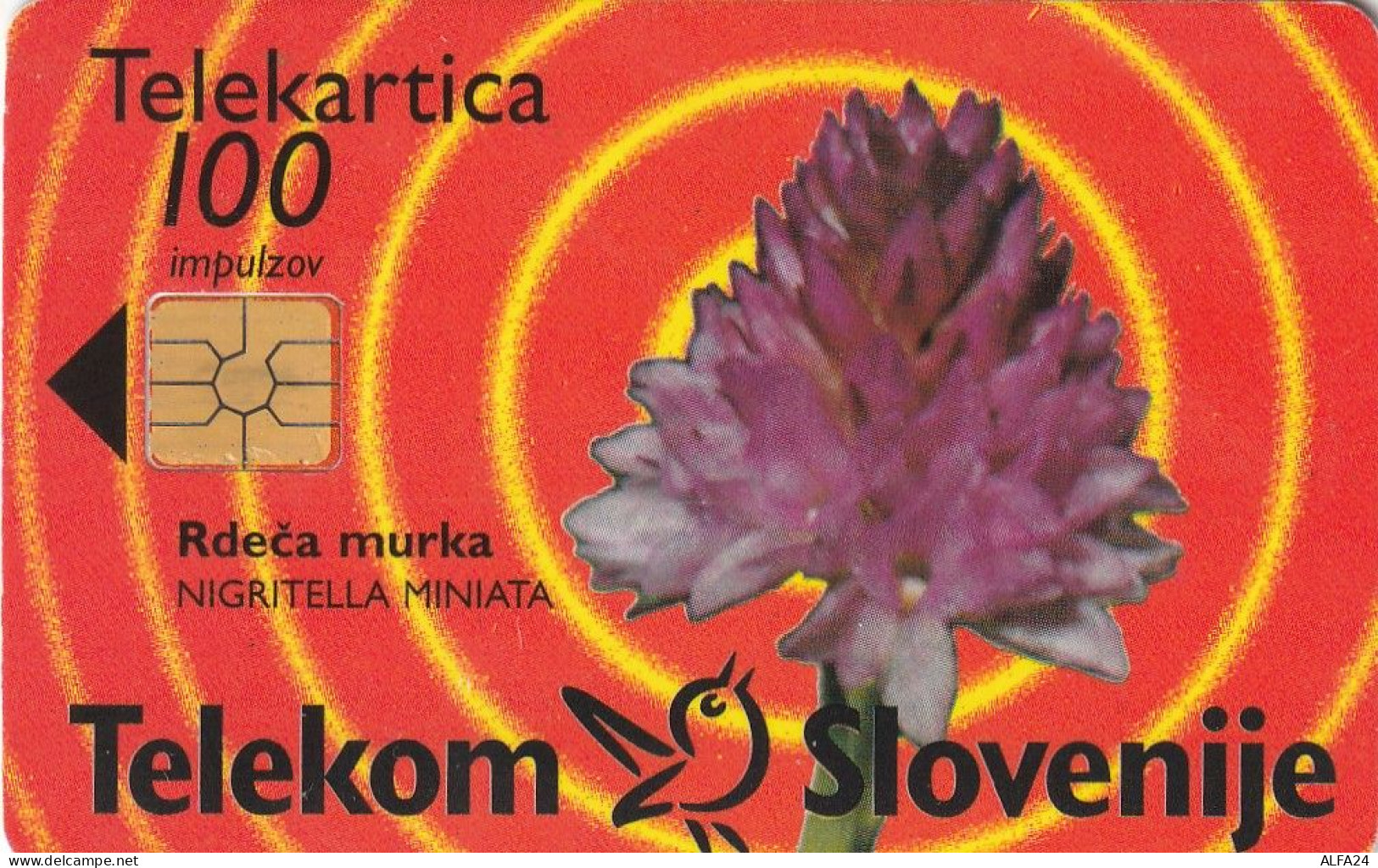 PHONE CARD SLOVENIA (E24.10.4 - Slovenië