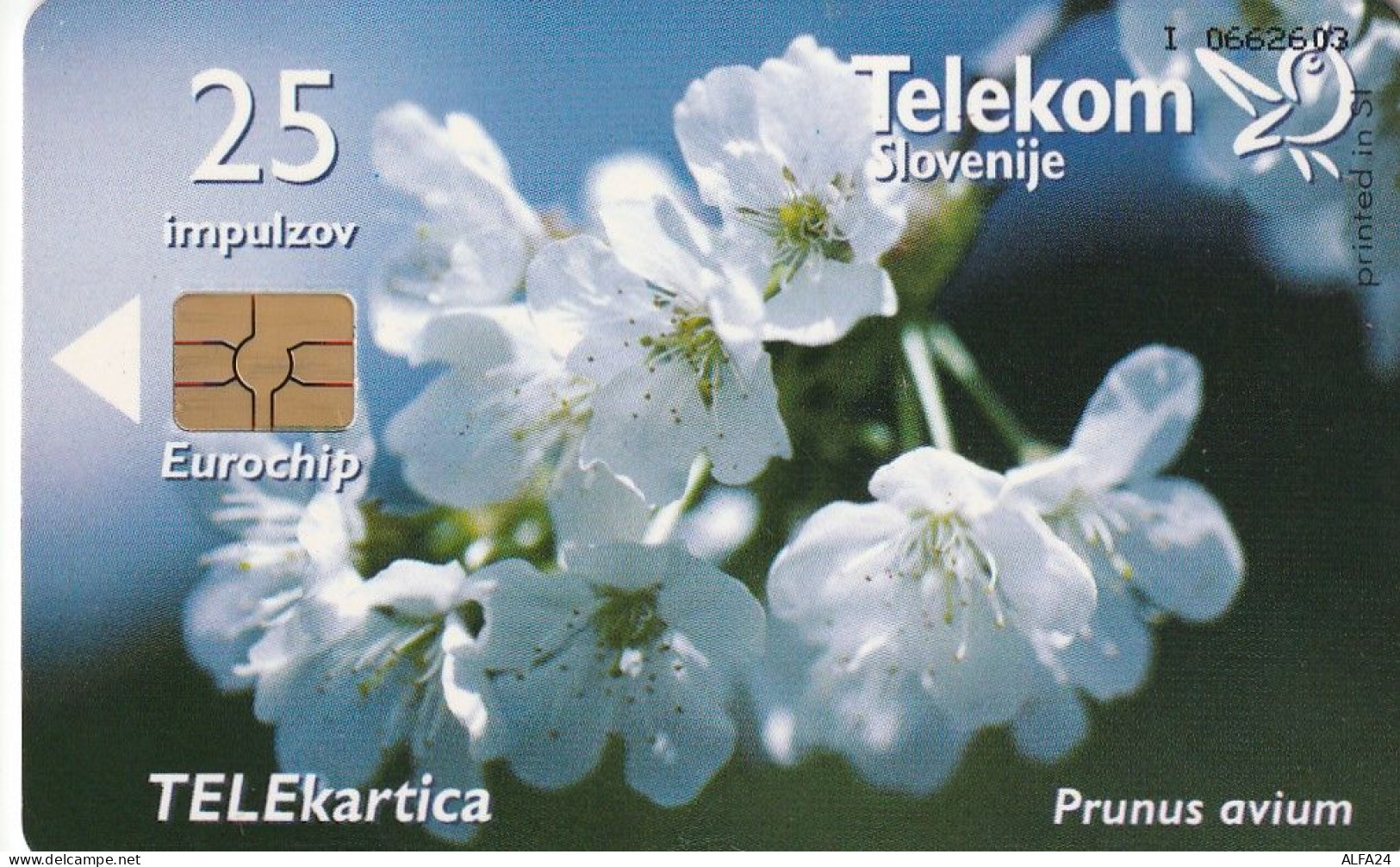 PHONE CARD SLOVENIA (E24.2.3 - Slovénie