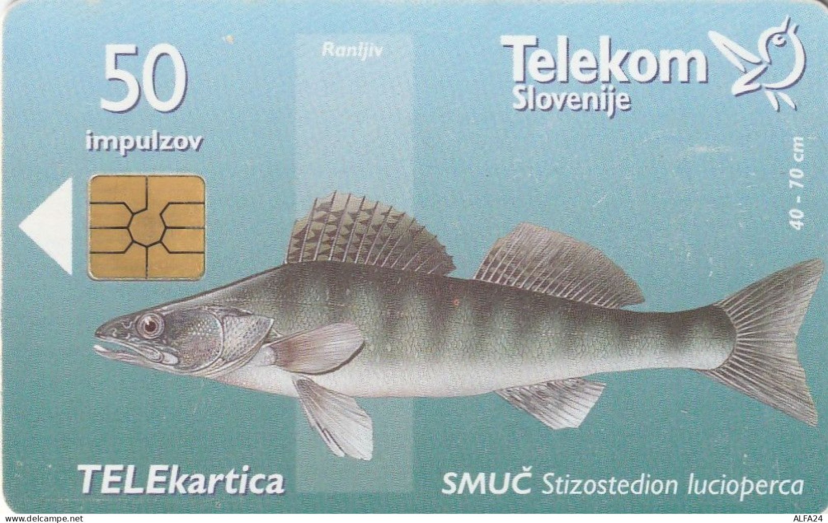 PHONE CARD SLOVENIA (E48.44.2 - Slowenien