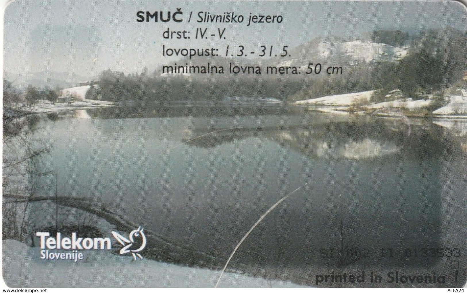PHONE CARD SLOVENIA (E48.44.2 - Slowenien