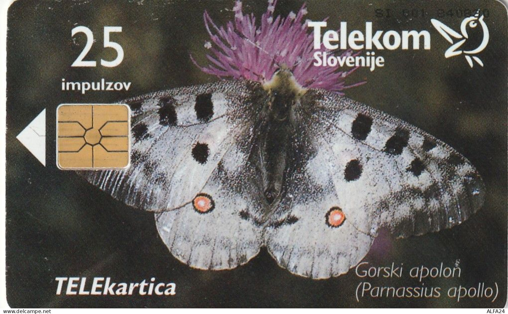 PHONE CARD SLOVENIA (E48.28.4 - Slowenien